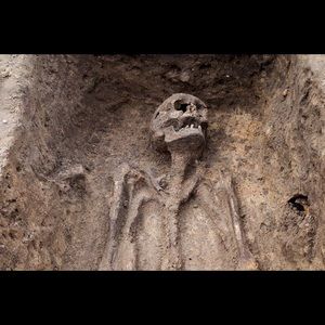 Meet your Posher, Vincent